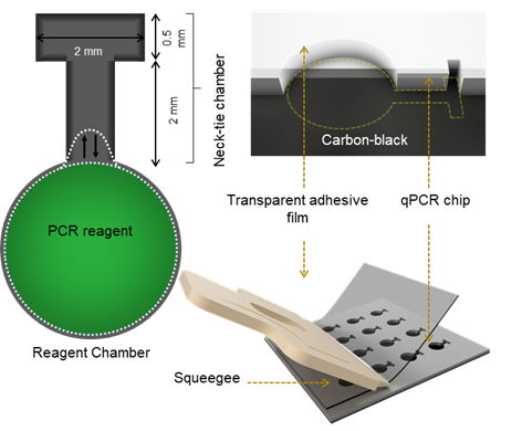 “Neck-tie”-shaped mini-well design in photothermal PCR chip enhances contamination-free sample loading and lamination method of transparent adhesive film. 
