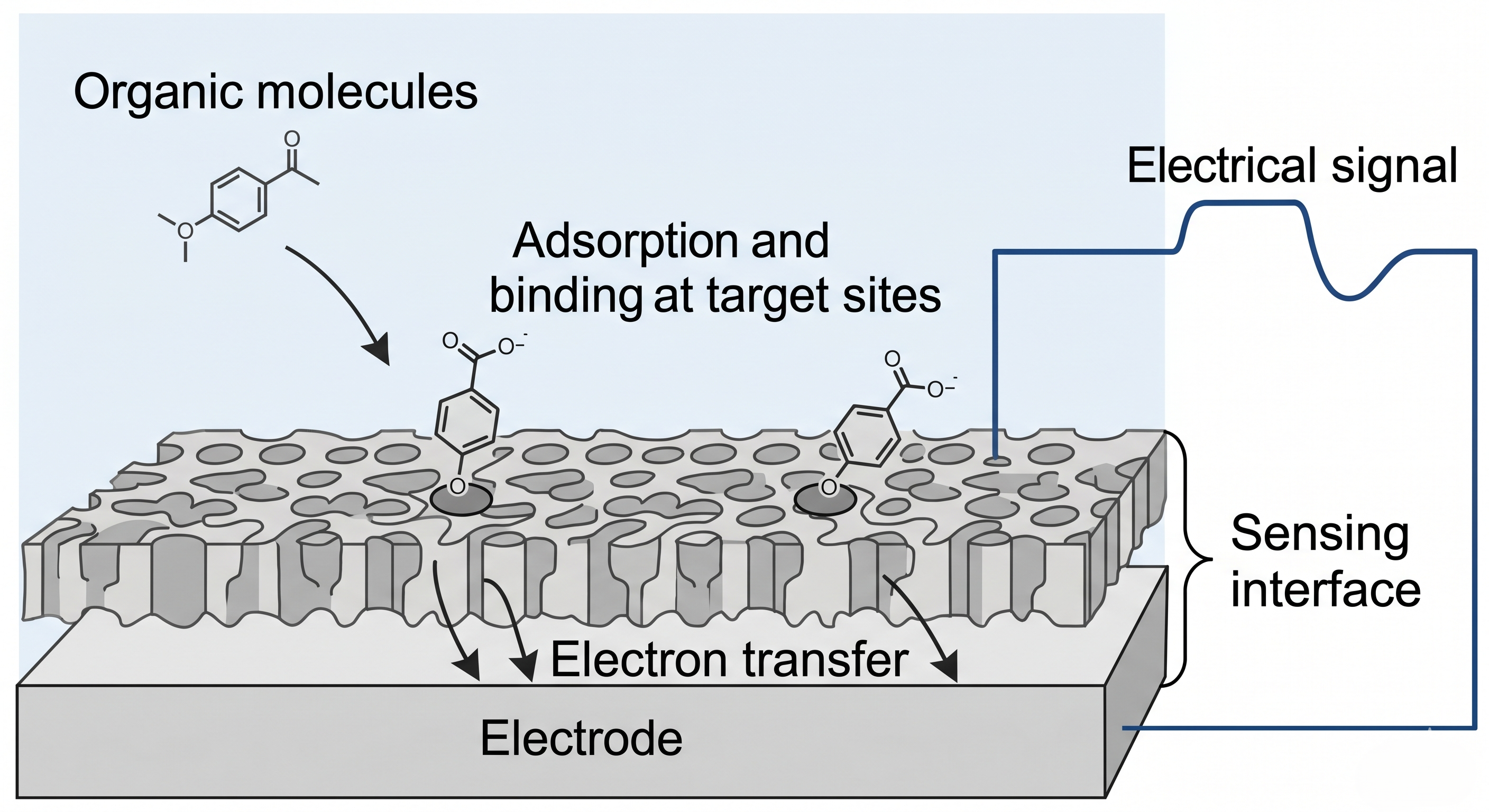 Sensor electrode surface textured with a MOF/nanoparticle lattice, showing target molecules docking