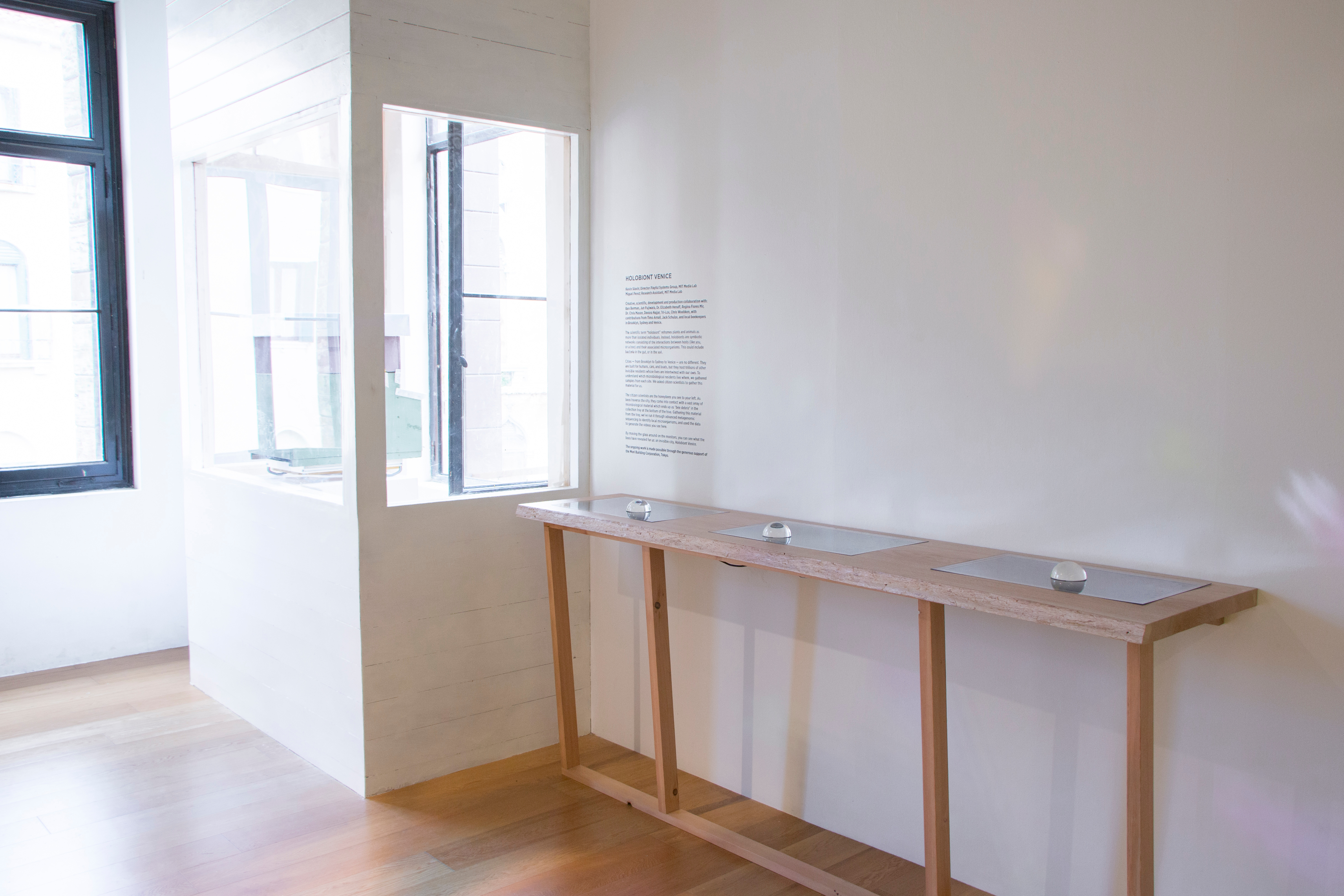 A wooden table with flat screens inlaid into it is in the foreground. There are heavy glass loupes on the screens. In the background, a brightly illuminated window with a beehive in it. 