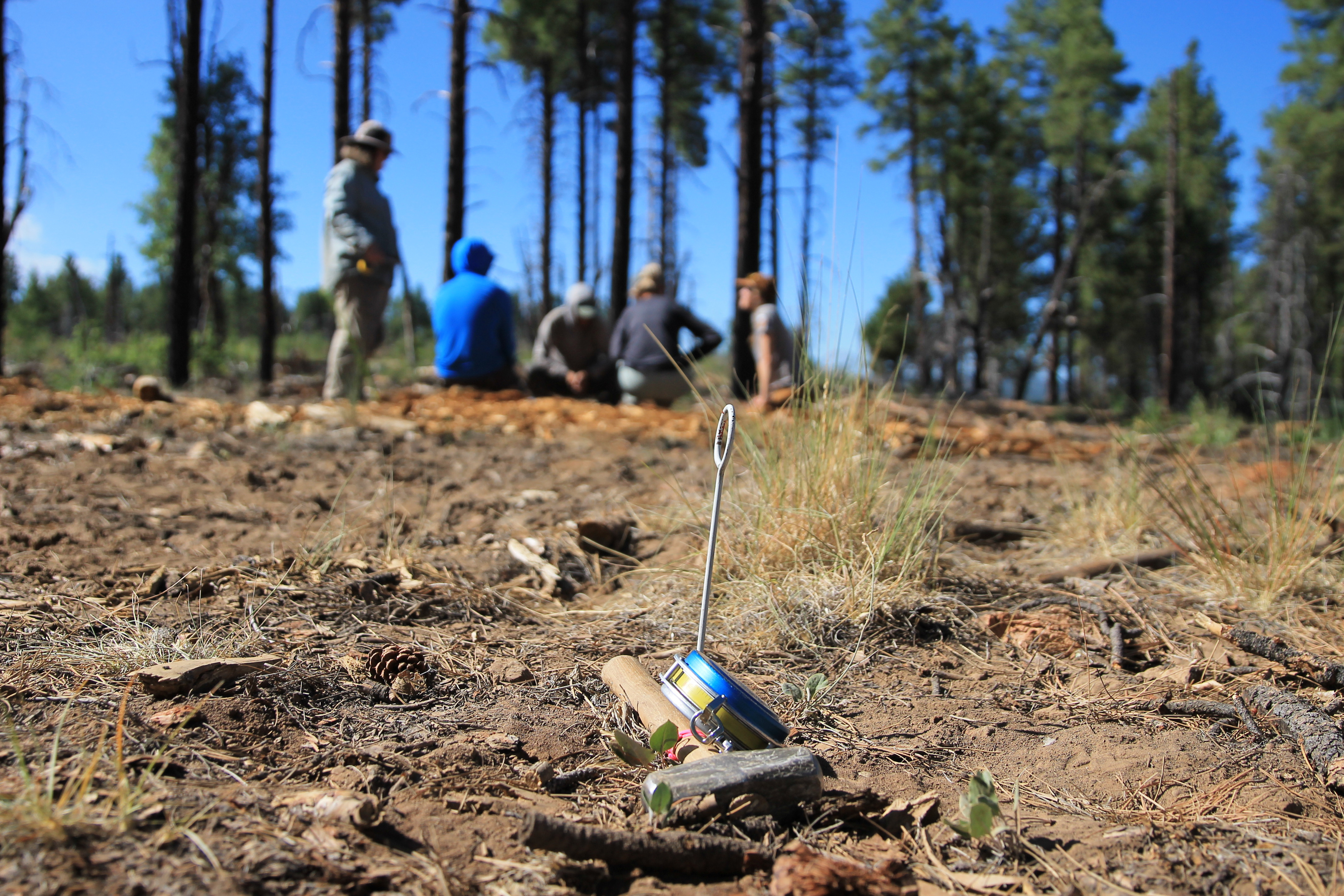 Field equipment sits on the forest floor, with a group of researchers in the background