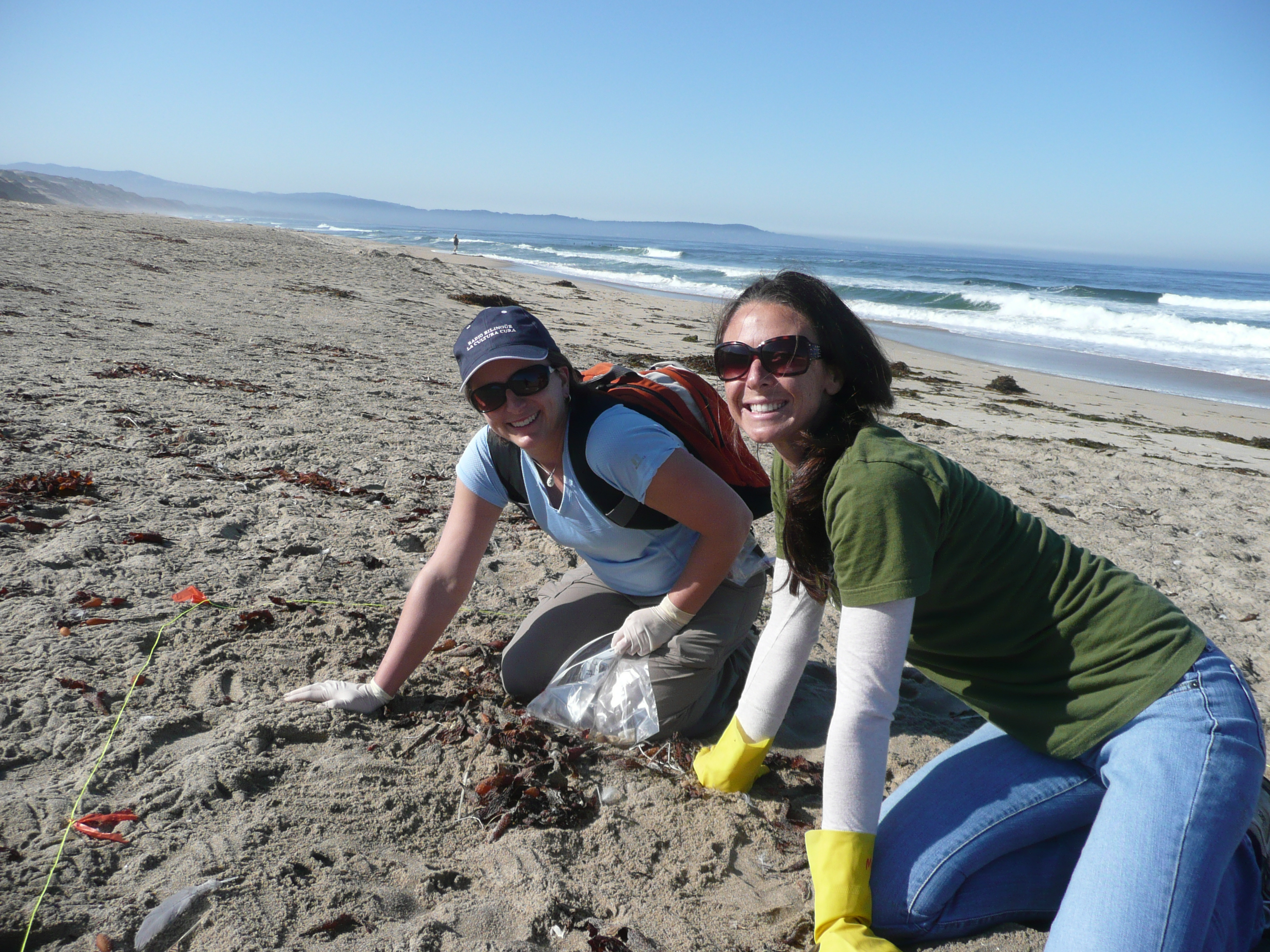 Citizen scientists surveying beach litter at Marina State Beach, CA USA