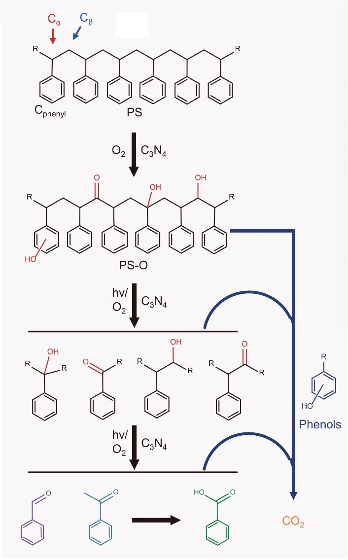 Proposed reaction mechanism of g-C3N4 catalyzed photooxidation of polystyrene.