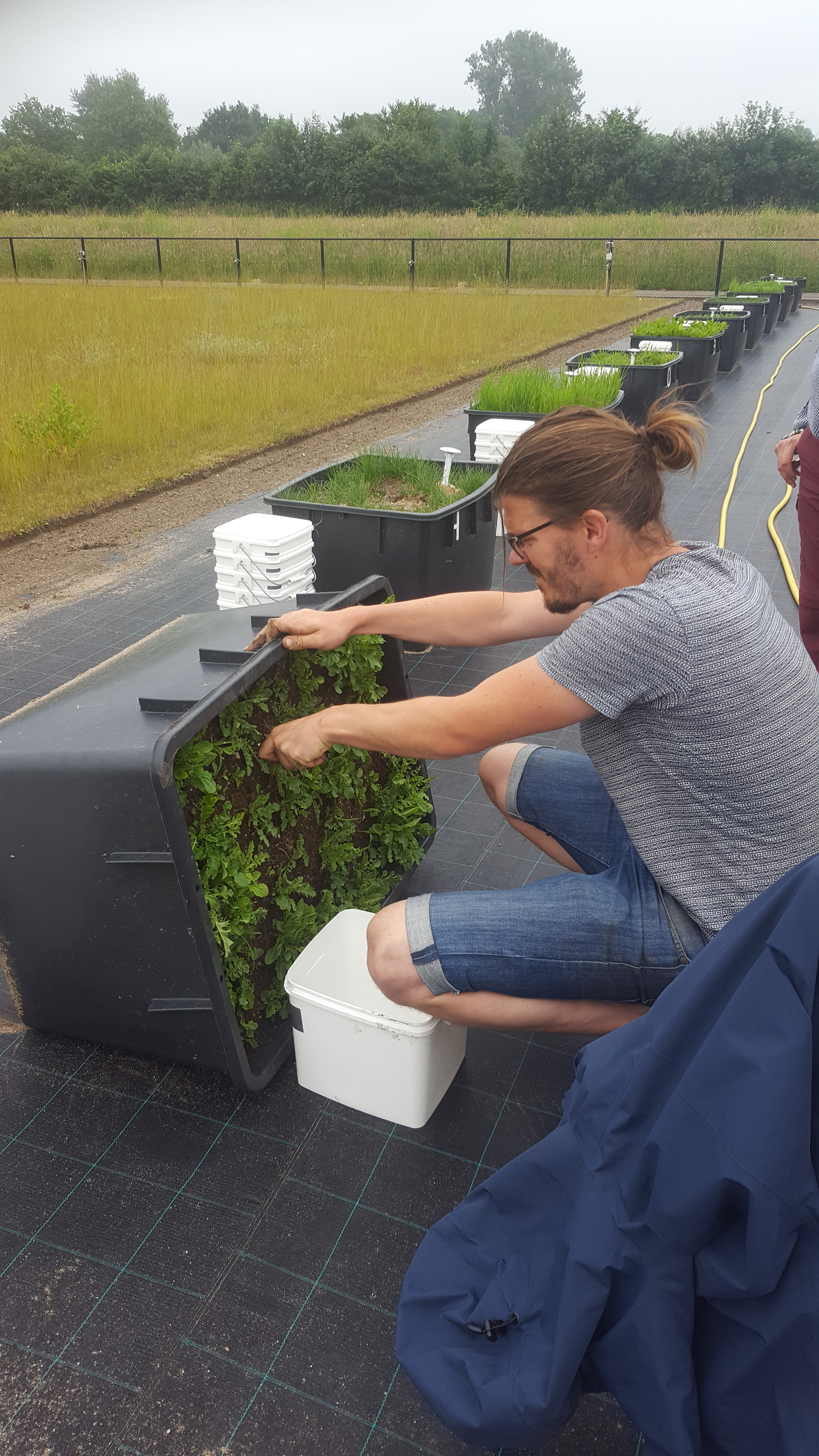 Cutting the container into monoliths