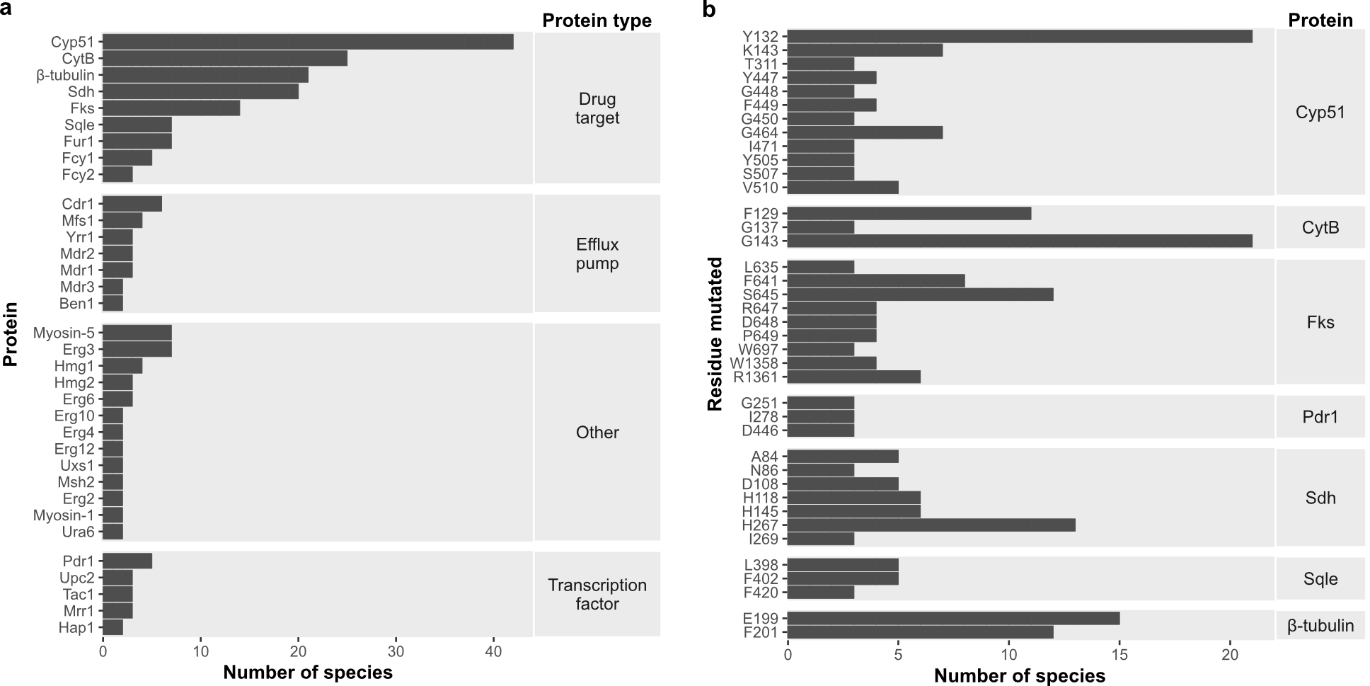 a Many proteins are associated with antifungal resistance in multiple fungal species when mutated. b Several resistance mutations appear to be conserved across different fungal species.