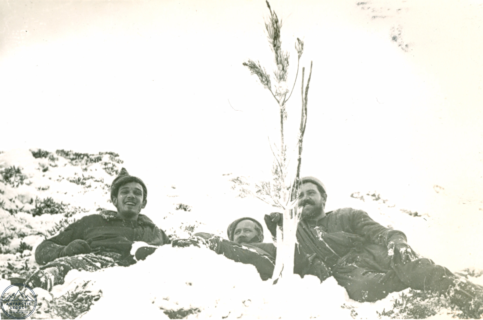 Three men sitting around a small tree in the snow