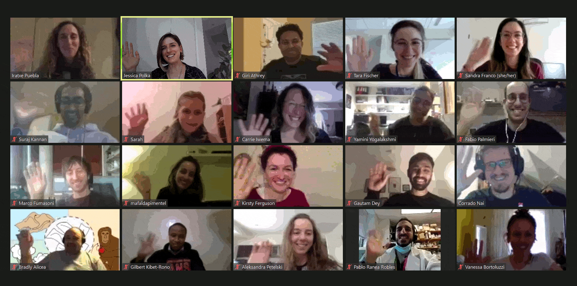 Screengrab of an ASAPbio Fellows online meeting