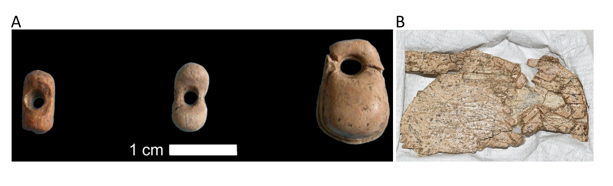 Body ornaments made of mammoth ivory from the Buran Kaya III site dating to the time of the human samples analyzed