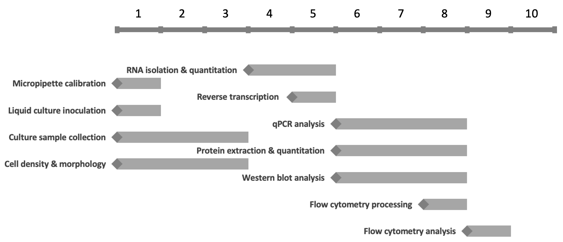 A project plan with labelled time bars.