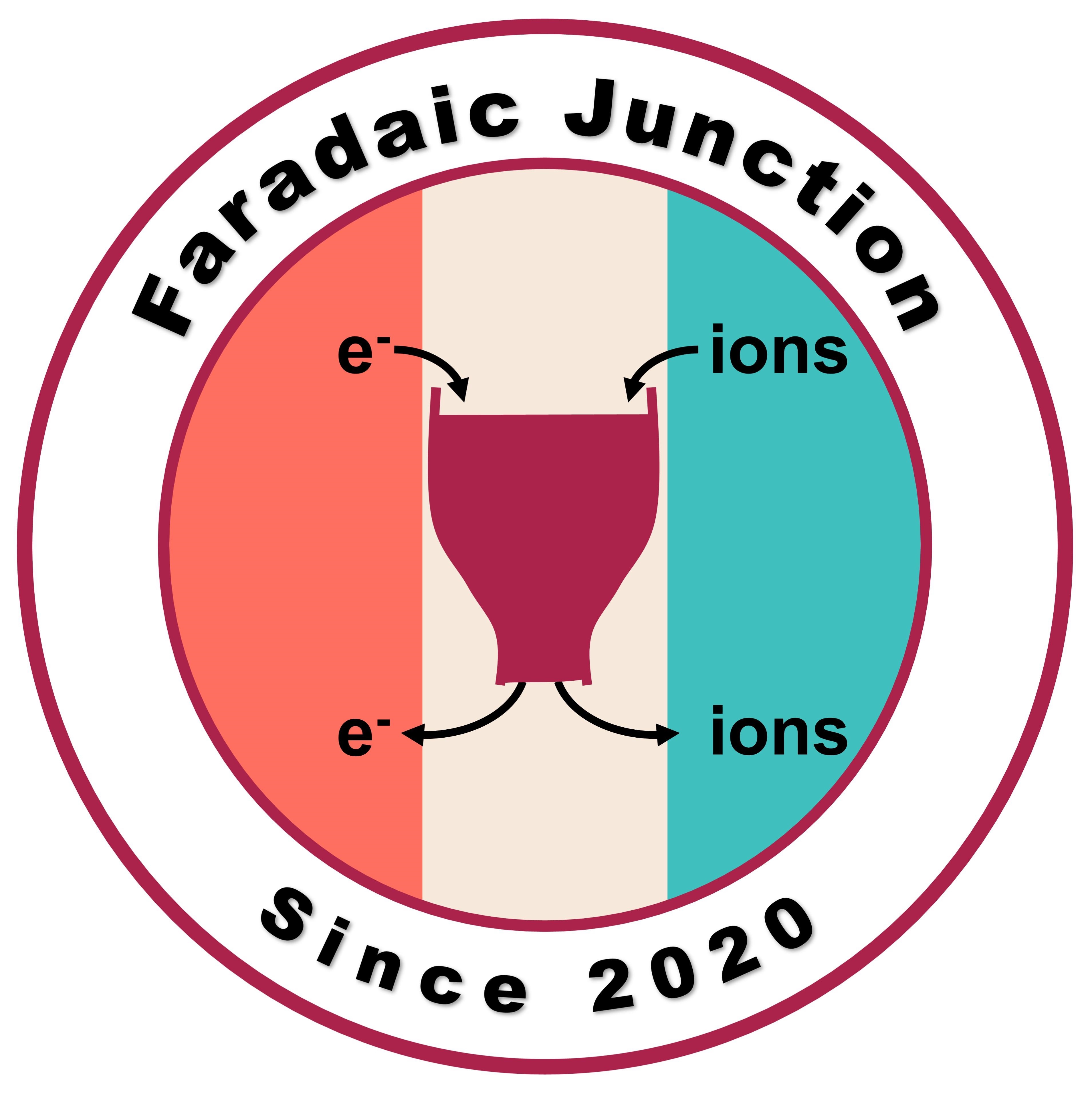 Fig. 1 The schematic of a Faradaic junction.