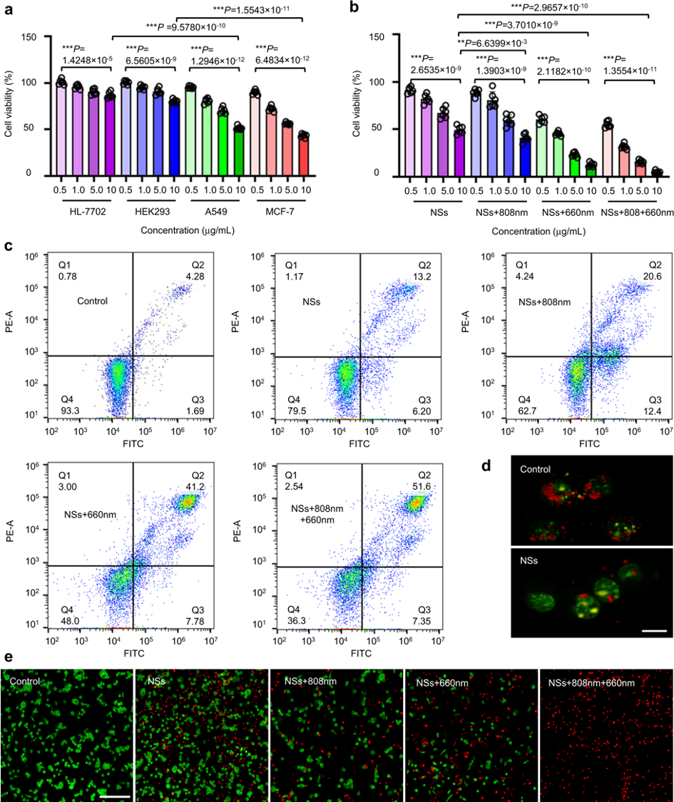 Fig. 8: Biocompatibility and cytotoxicity of As/AsxOy@PDA@M NSs.