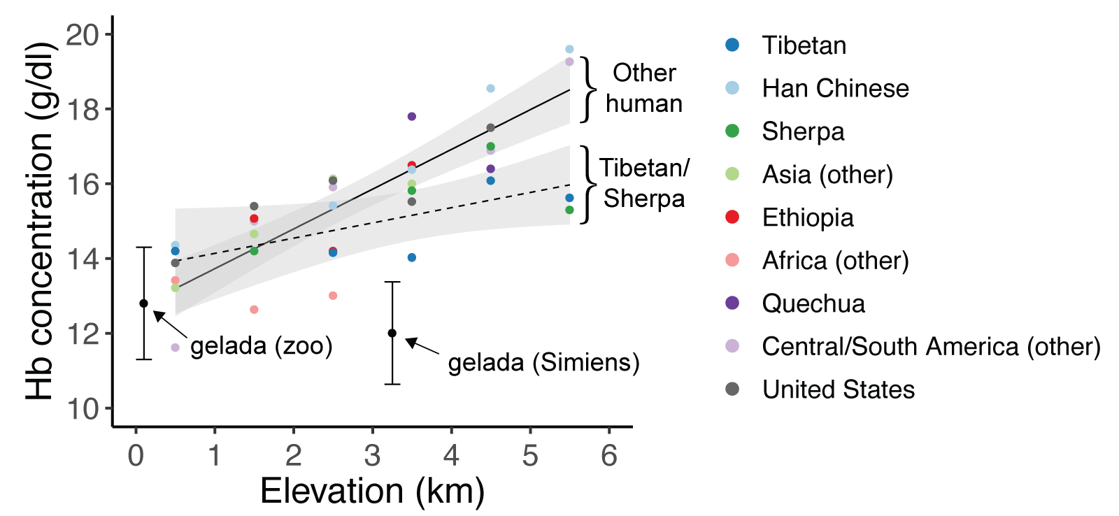 Gelada hemoglobin concentrations