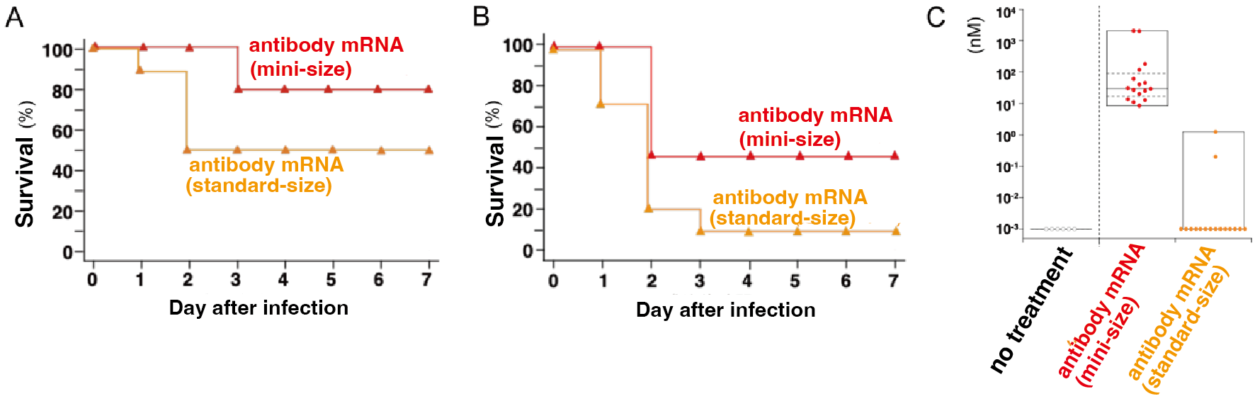 Effects of antibody miniaturization.