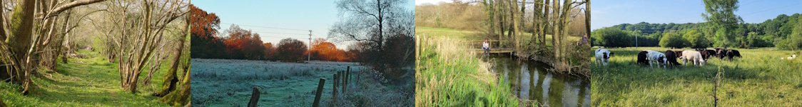 Header Mists Farm, its a beautiful place.