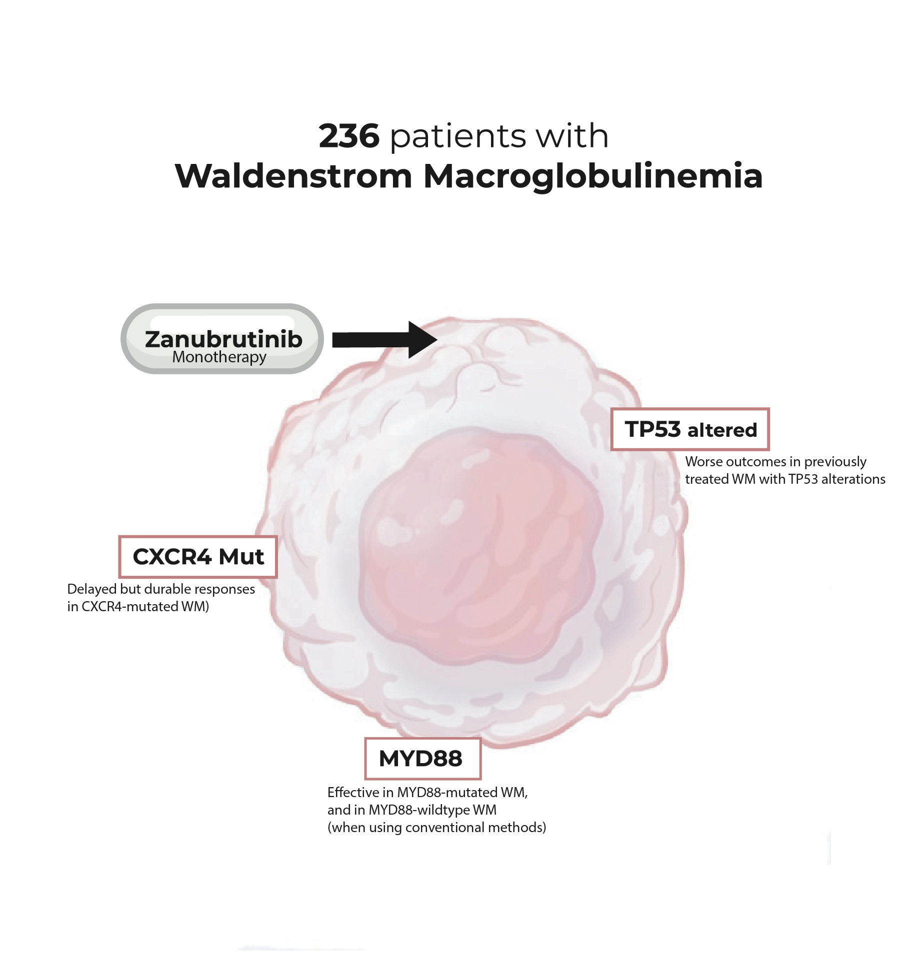 Off-trial zanubrutinib in WM