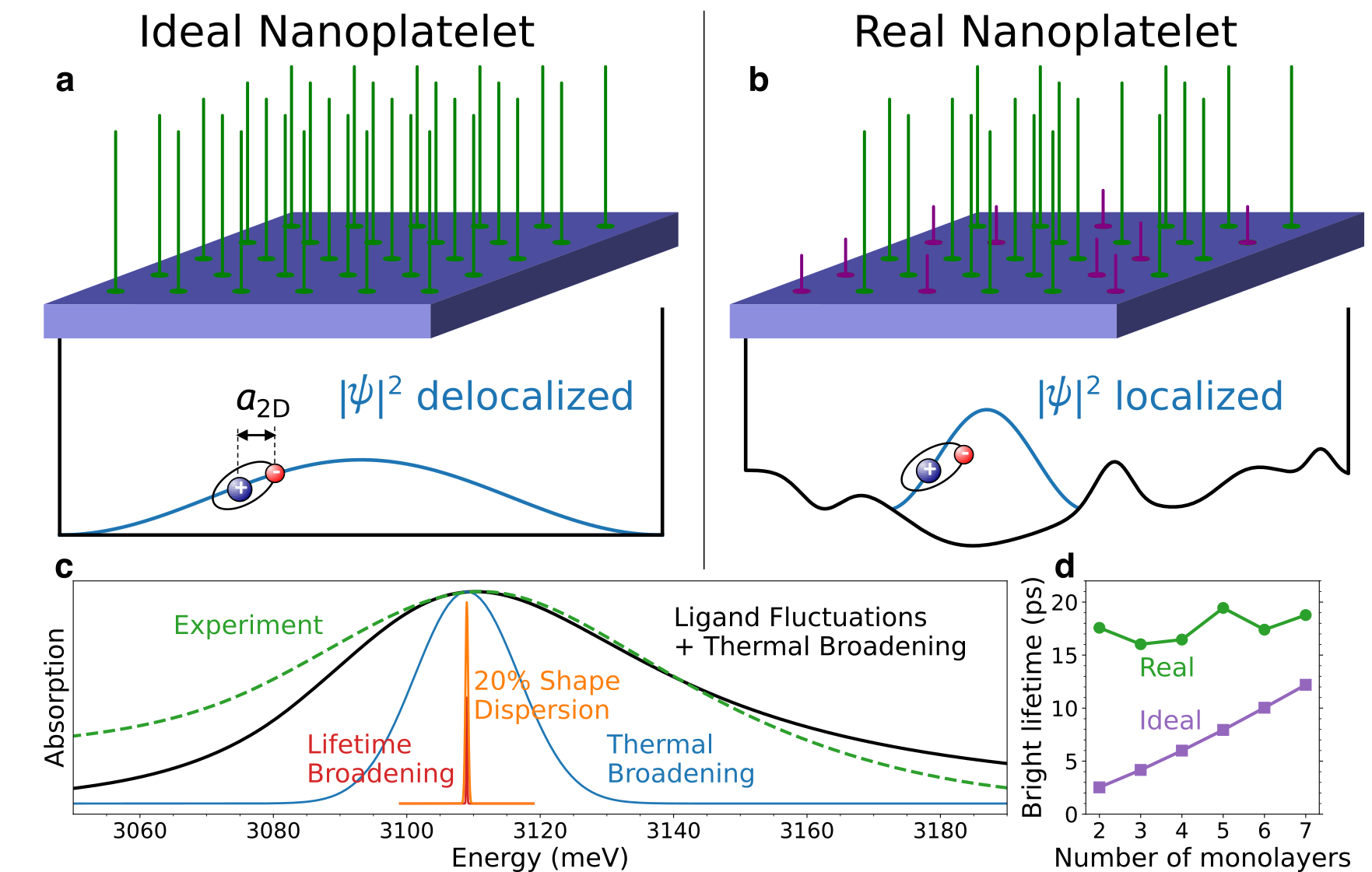 Multi-panel graphic.  In panel a, all the ligands on the nanoplatelet are the same, the potential for the exciton is smooth, and the exciton wavefunction is spread out.  In panel b, the ligands are different, the potential is rough, and the exciton is localized.