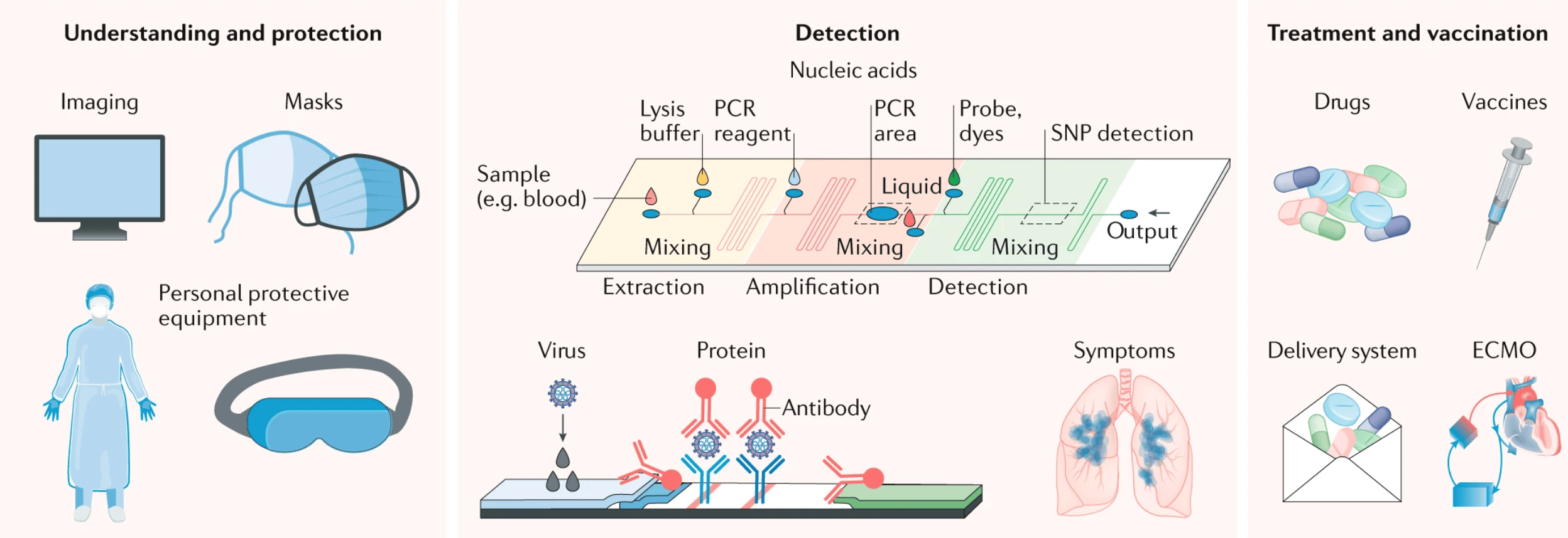 Fig. 1: SARS-CoV-2 and materials science.