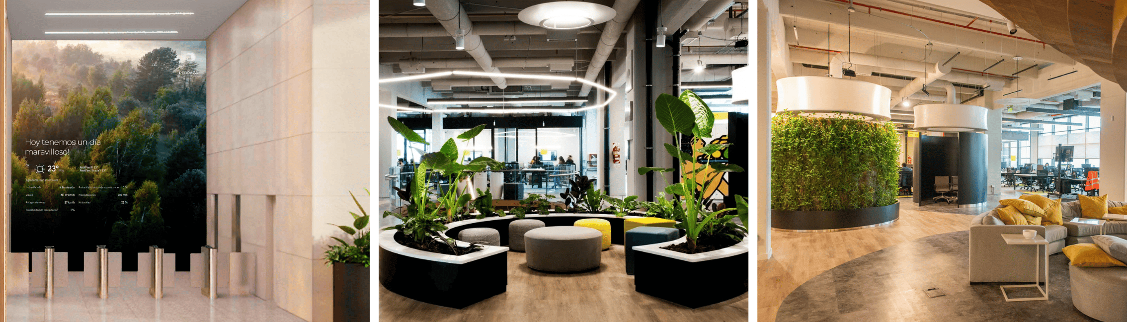 el diseño biofílico