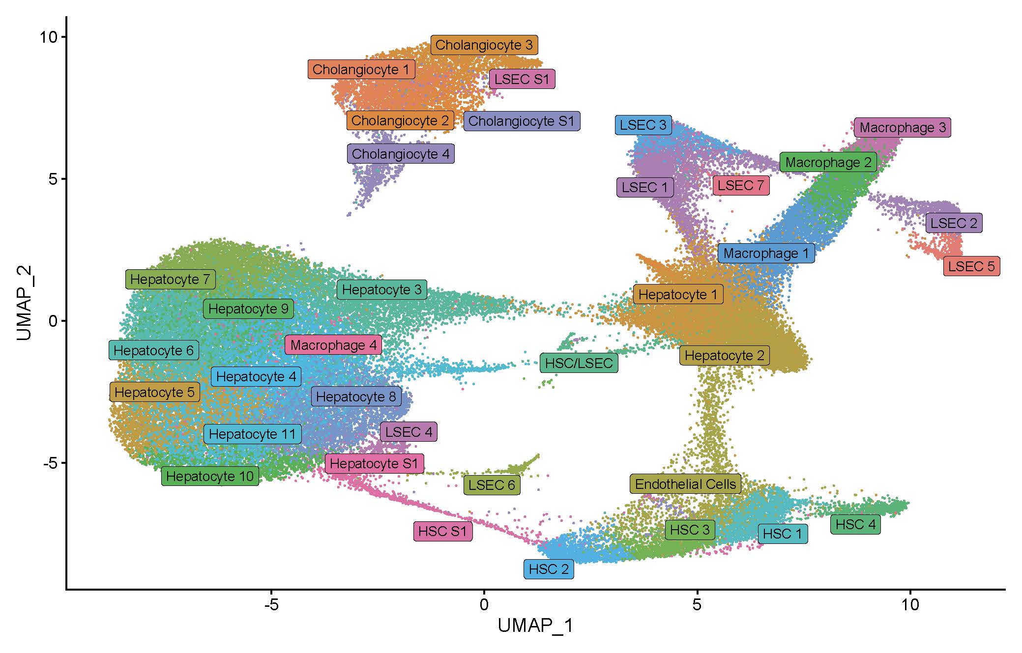 UMAP projection of nuclei derived from PoPH and non-PoPH cirrhosis tissue