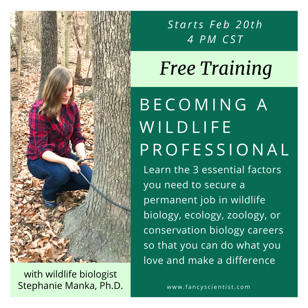 Becoming a Wildlife Professional