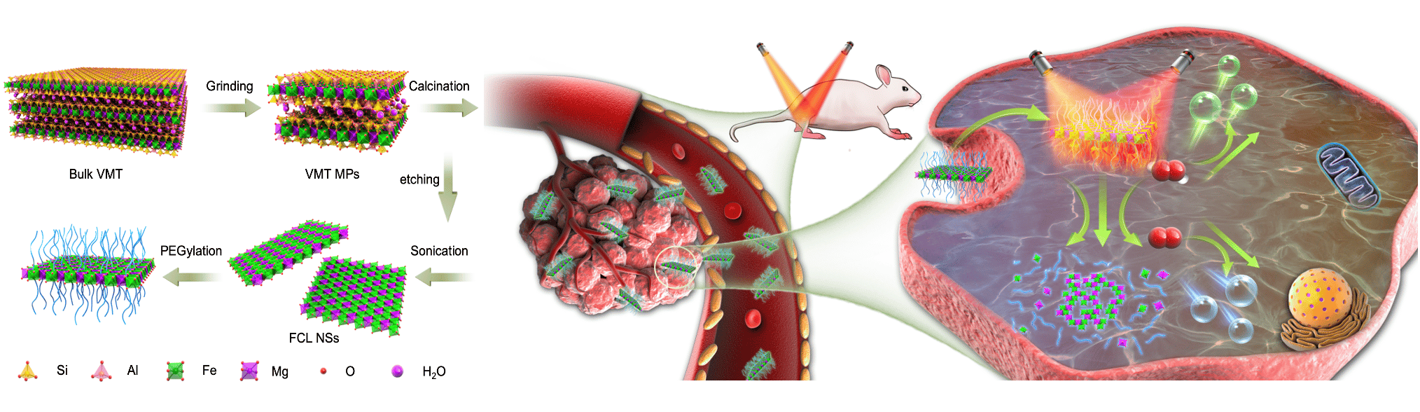 Nature-Derived 2-Dimensional Materials for Cancer Therapy