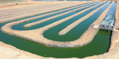 Peterborough has 2 HRAP, each one is 5000 square meters, designed to treat 475m3/ of wastewater per day.