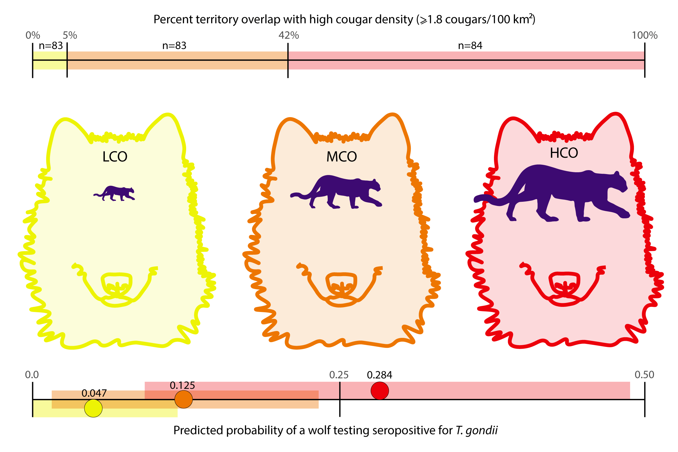 Gray wolves with T. gondii serology results were divided into one of three categories relative to their average annual overlap with cougar density ≥1.8/100km2 (top bar): Low Cougar Overlap (LCO in yellow) indicates wolves living in areas with 0.0 to 5.0% overlap, Moderate Cougar Overlap (MCO in orange) indicates 5.1-42.0% overlap, and High Cougar Overlap (HCO in red) indicates 42.1-100% overlap. This results in three categories of nearly equal sample size. The lower bars show the predicted probabilities, with 95% confidence intervals, of a seropositive T. gondii test for gray wolves living in LCO (yellow), MCO (orange), or HCO (red). Predicted probabilities are based on the full model