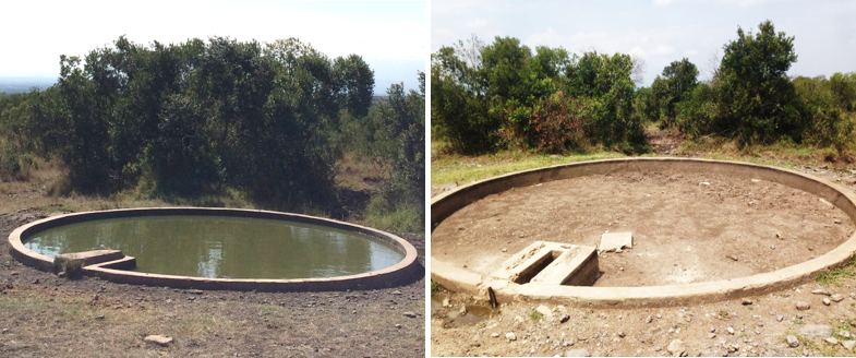Filled and experimentally-drained water pans at Ol Pejeta Conservancy