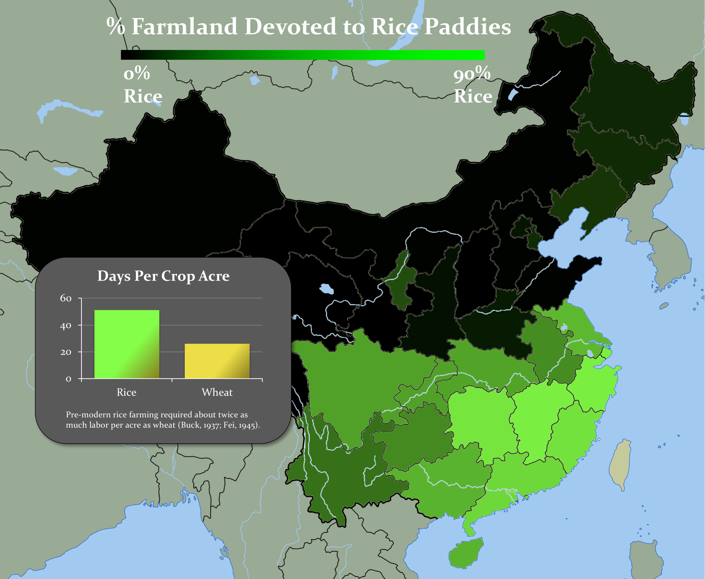 Map of rice farming across provinces in China