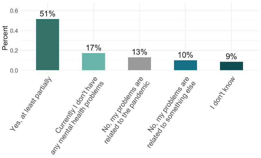 Figure 3. Mental health problems in relation to the PhD training. 