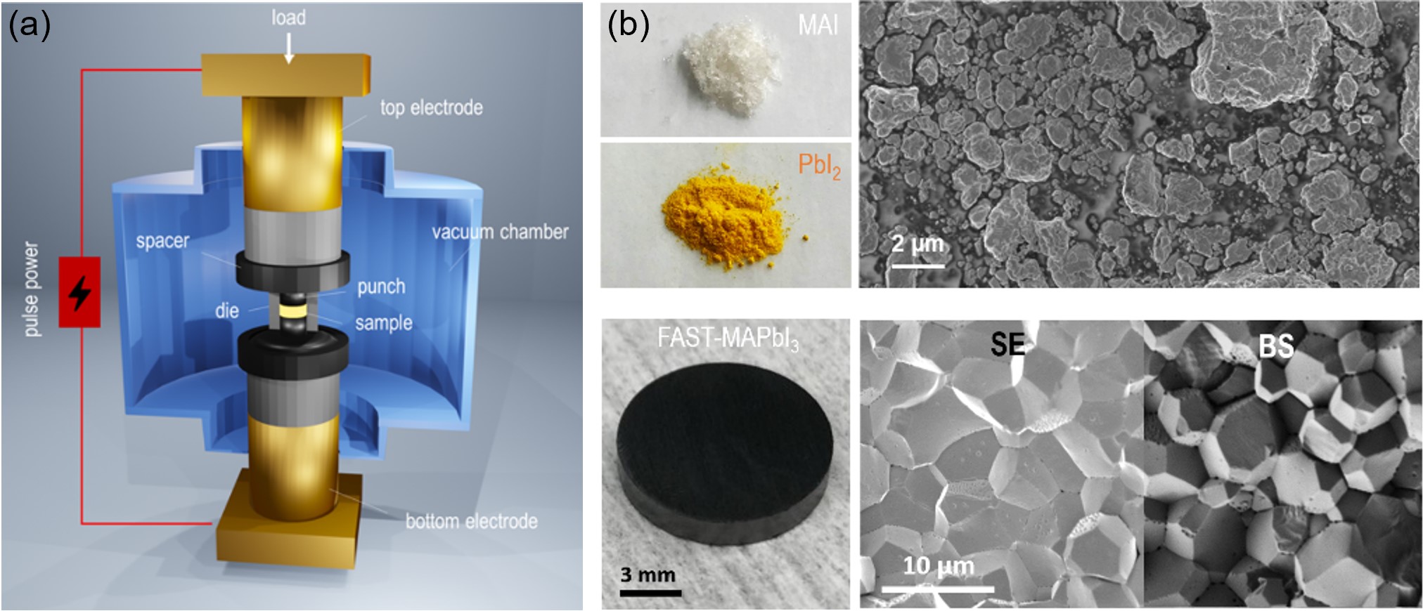 Figure 1: (a) Setup configuration of FAST. In the chamber, a die with a loaded powder sample is sandwiched between the top and bottom electrodes, where the mechanical and electrical fields are applied simultaneously. (b) The starting precursor powders of MAI and PbI2, and the FAST as-synthesized MAPbI3 bulk disk. SEM images showing the as-milled MAPbI3 powders and the cross-section of the FAST-synthesized MAPbI3 bulk with secondary electron (SE) and backscattered (BS) detectors of the microscopy. 