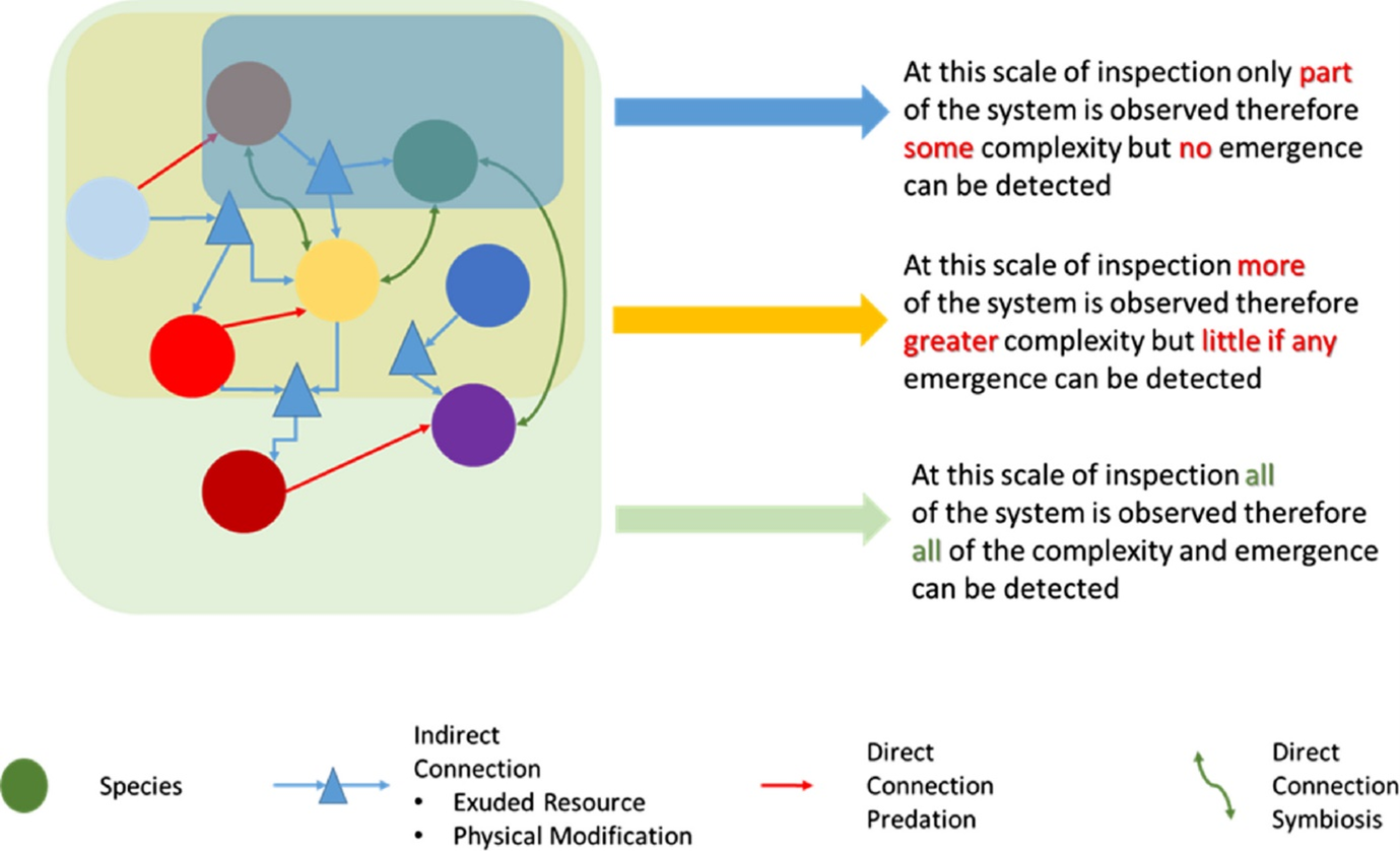 Diagram representing the importance of scale of observation to capture system-level properties 