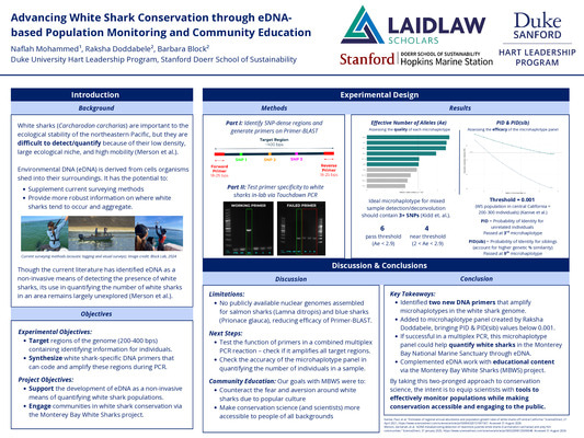 Advancing White Shark Conservation through eDNAbased Population Monitoring and Community Education