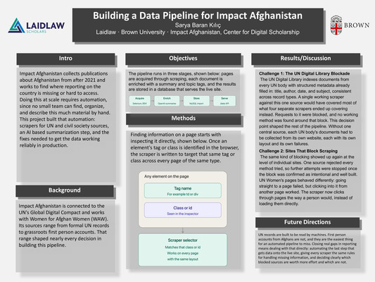 Impact Afghanistan Poster Sarya Baran Kılıç