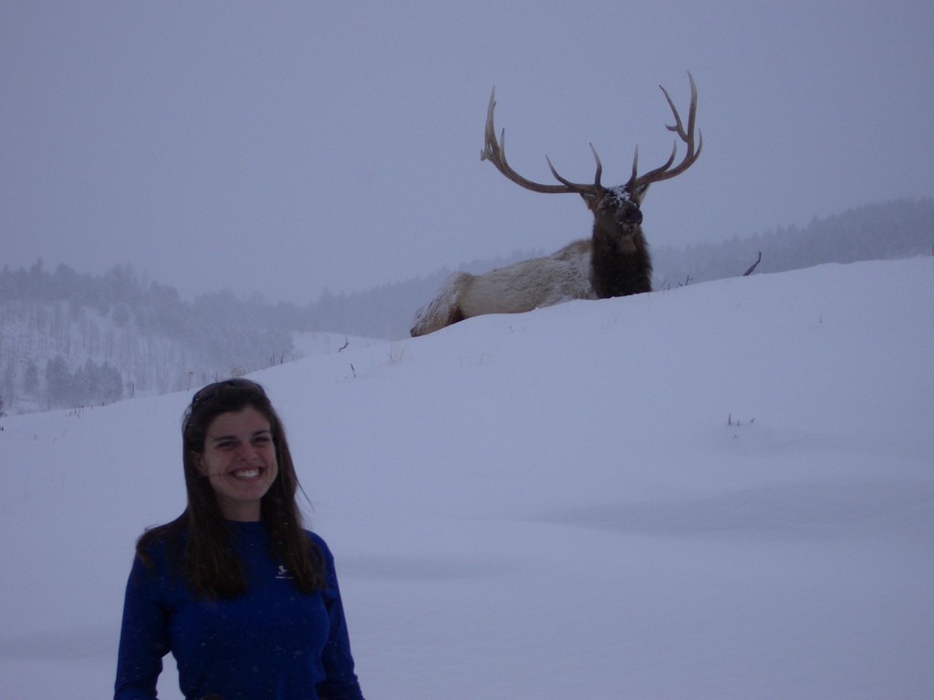 Scientific community assembly