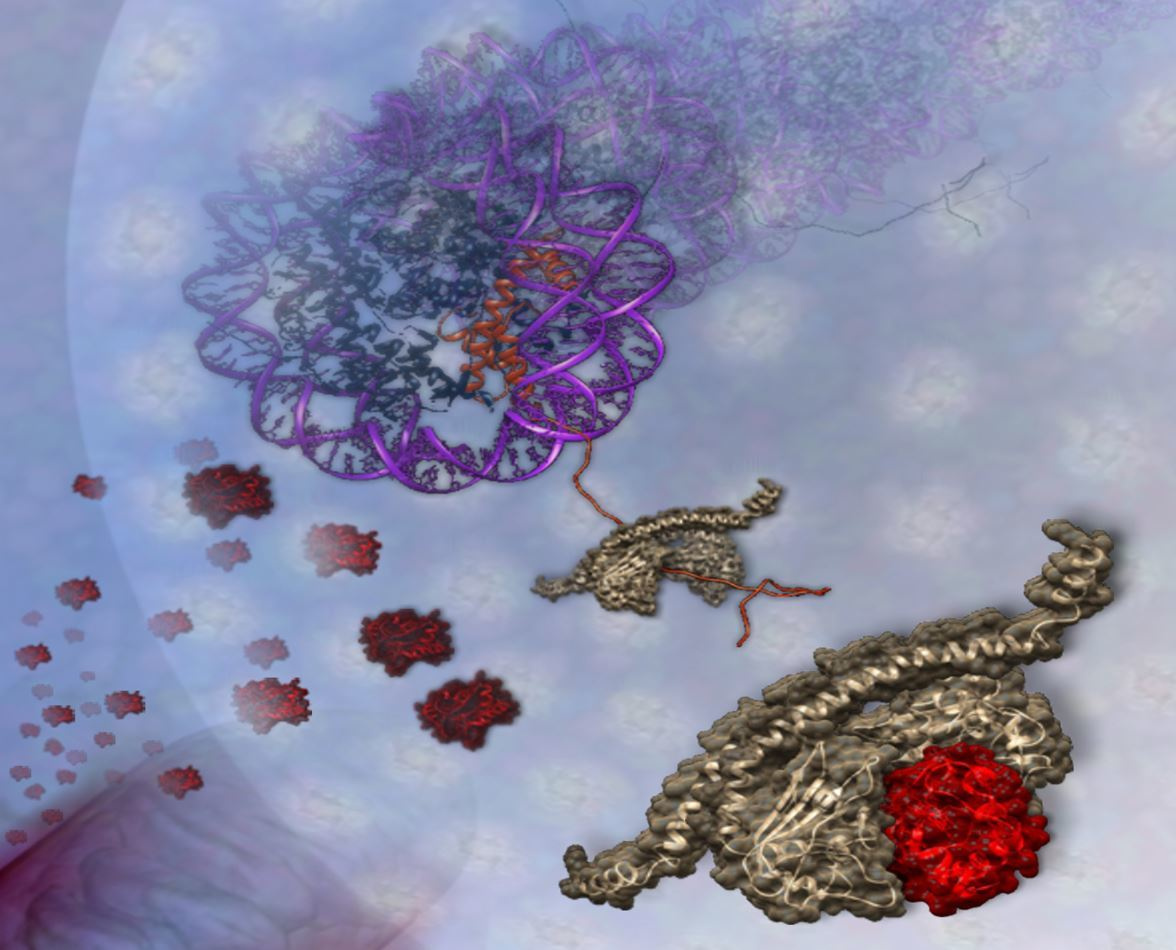 Women In Science profiles: Irene Díaz-Moreno 