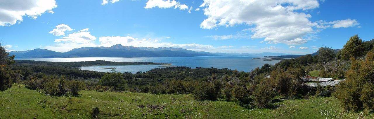 Population genomics from the Southern end of South America