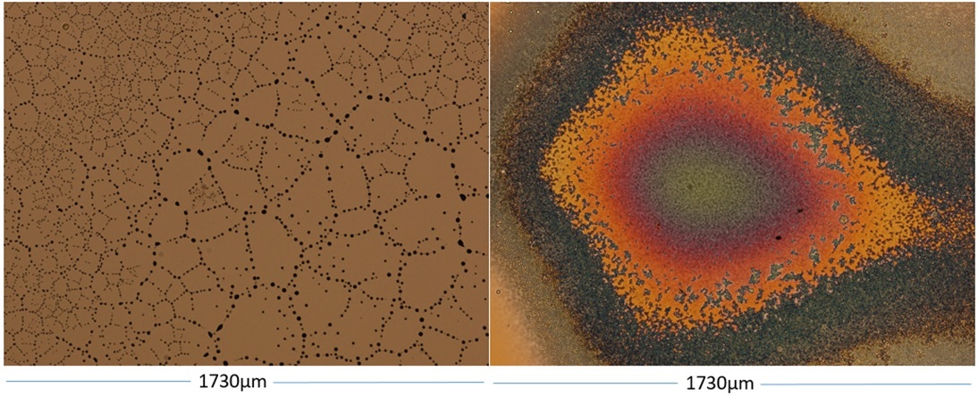 Do not leave me alone with them!