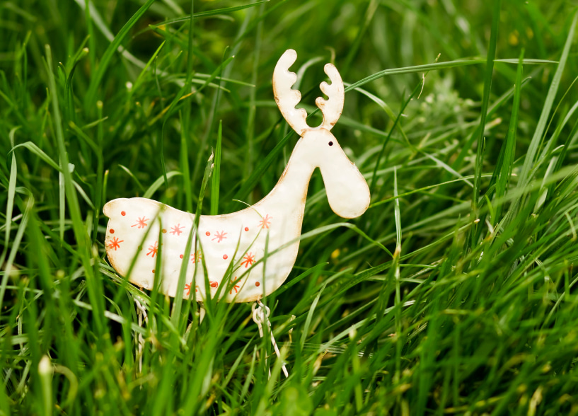 Confirming the Moose Passport is back at the 2016 Americas Summit!