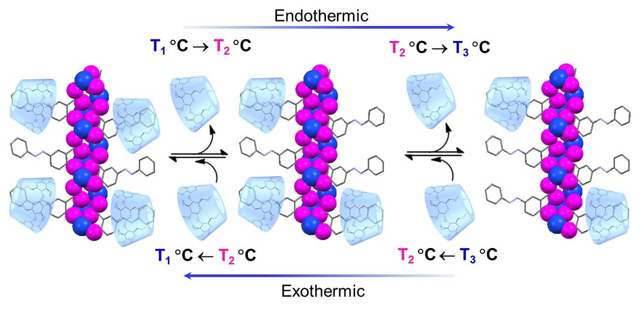 A coordination polymer that facilitates temperature controlled release and capture of cyclodextrin