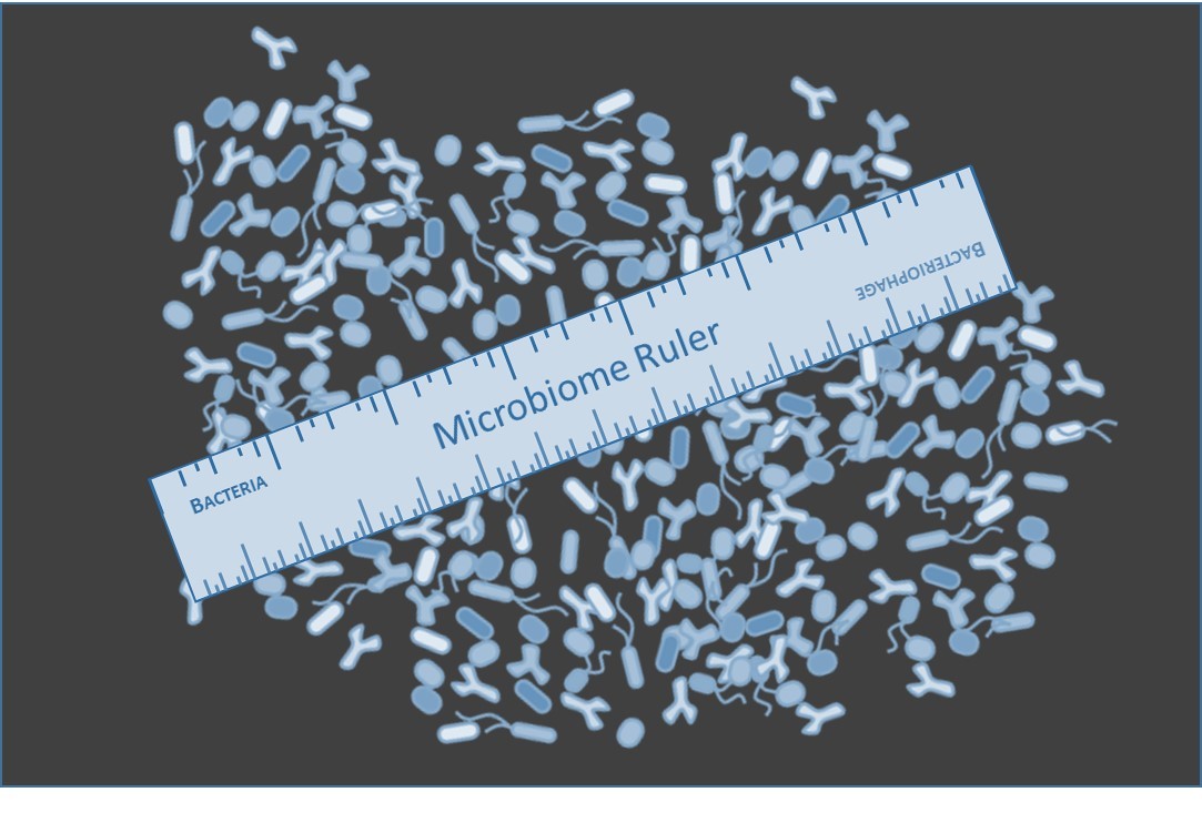Is it time to stop measuring, and put the ‘ology’ back into microbiome research?