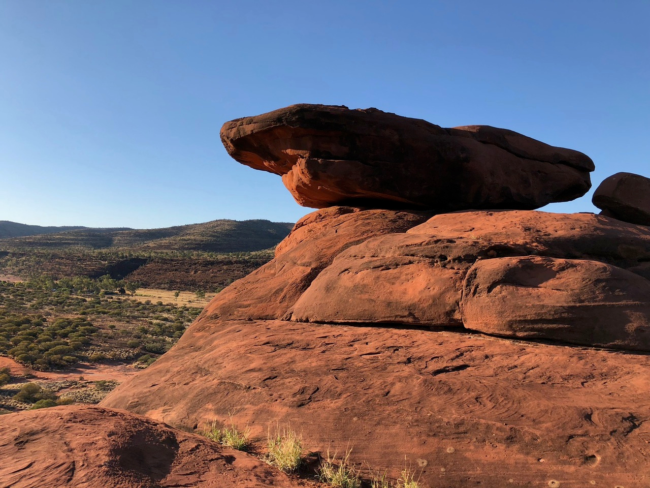 Protecting species safeguards humankind