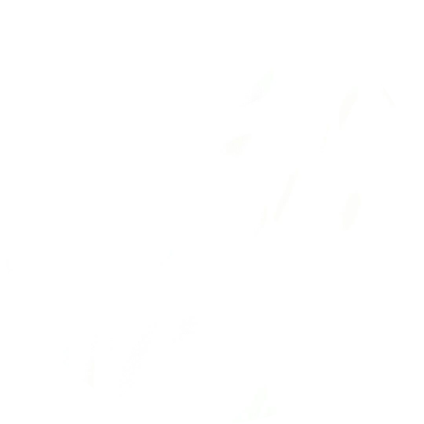 Go to the profile of Seung Ho Shin