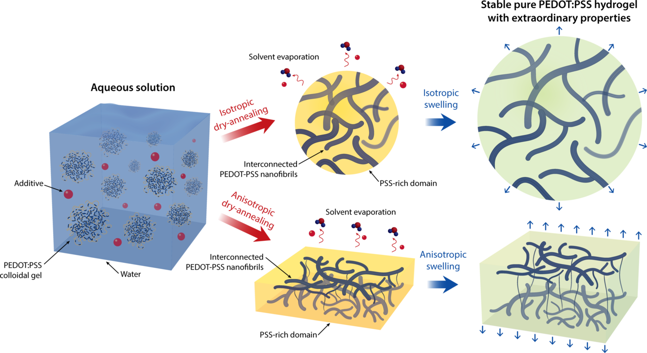 Pure PEDOT:PSS hydrogels