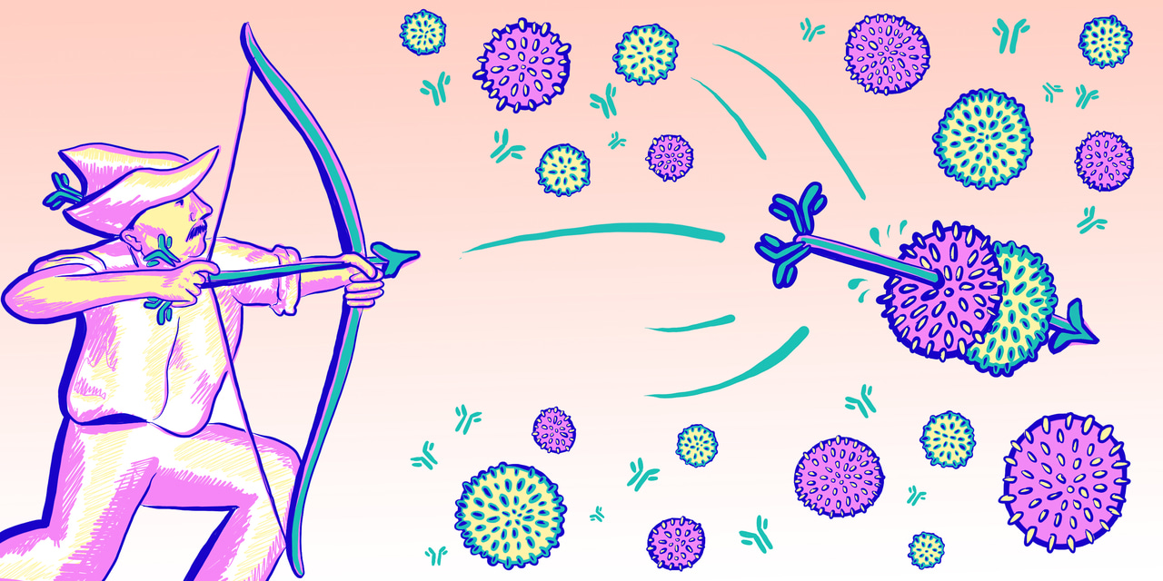 Double whammy for hemorrhagic fever arenaviruses
