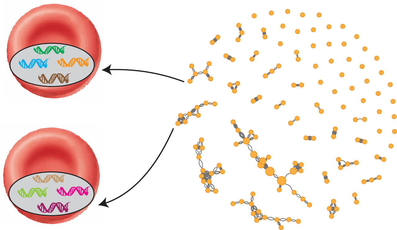 Why a diverse approach is needed to tackle a hyperdiverse malaria antigen system?