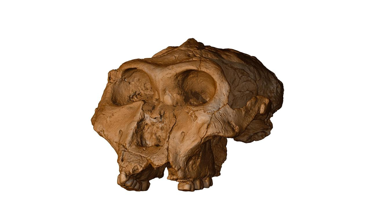 Past precipitation and human evolution: from ice core records to marine records