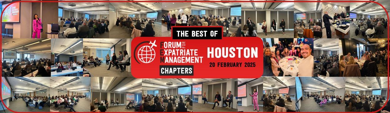 The best of the FEM Houston Chapter Meeting on 20 February!