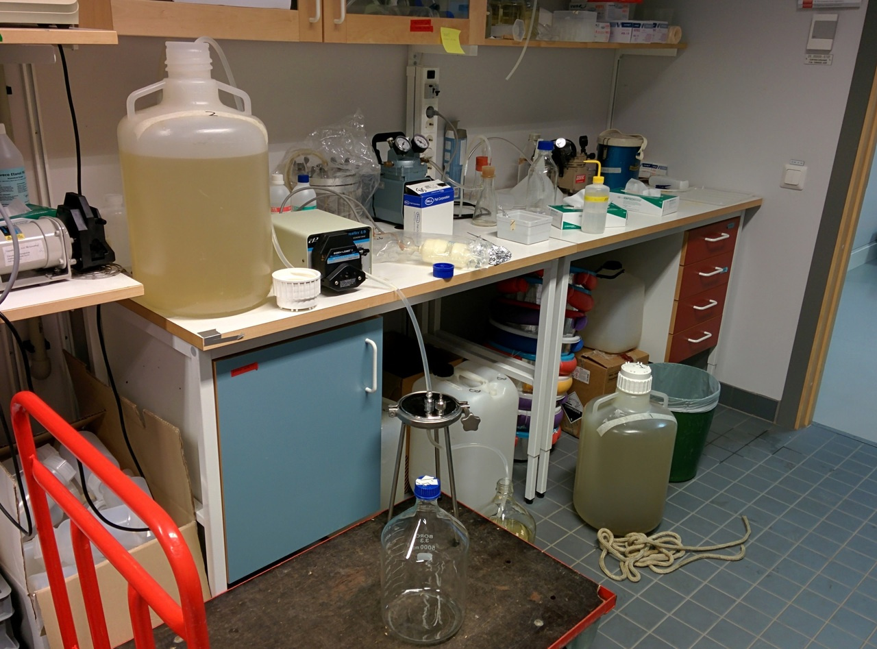 A bacteriophage enzyme induces bacterial metabolic perturbation that confers a novel promiscuous function