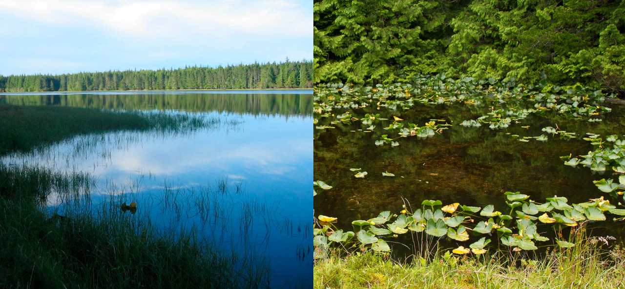 Learning from a 19-year Experiment