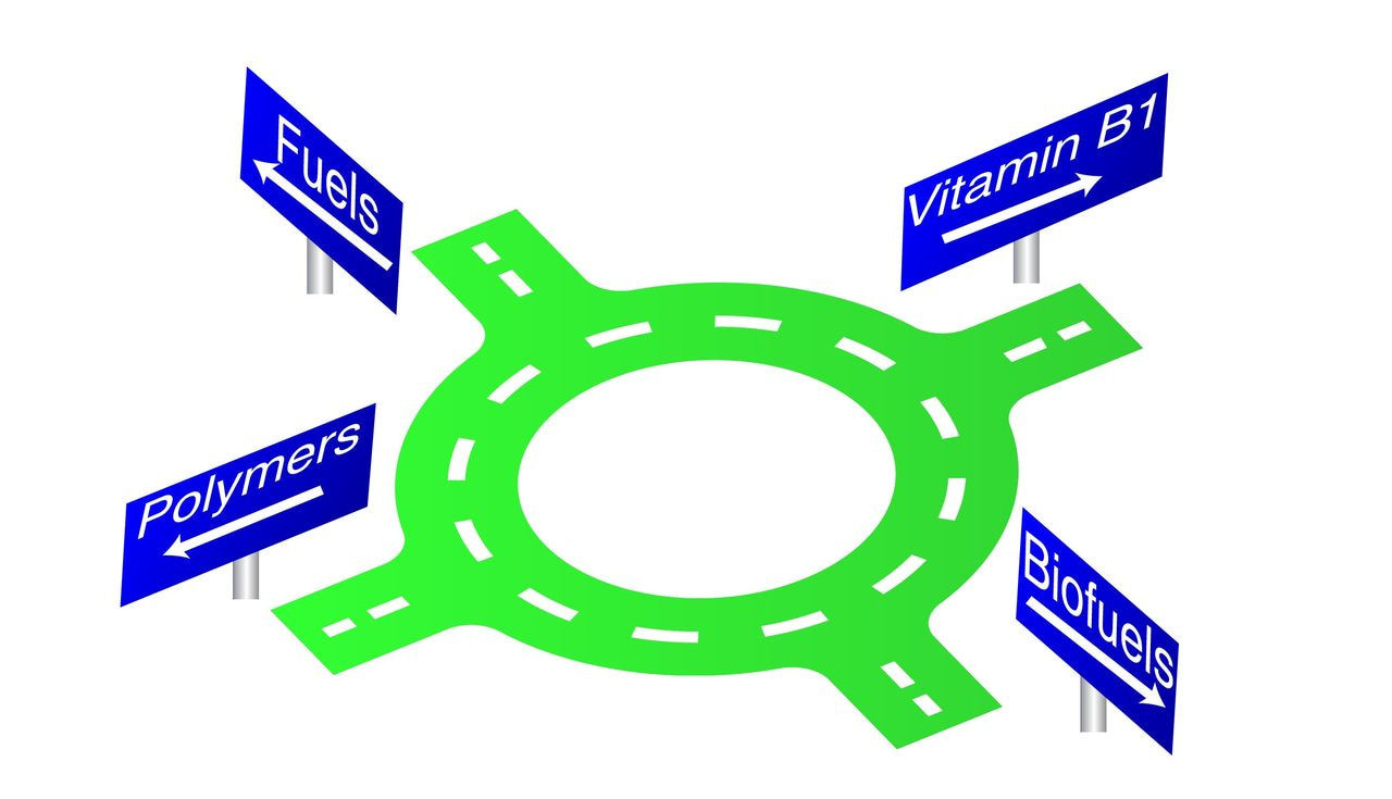 Controlling catalysis: a four way street to bio-based fuels and building blocks